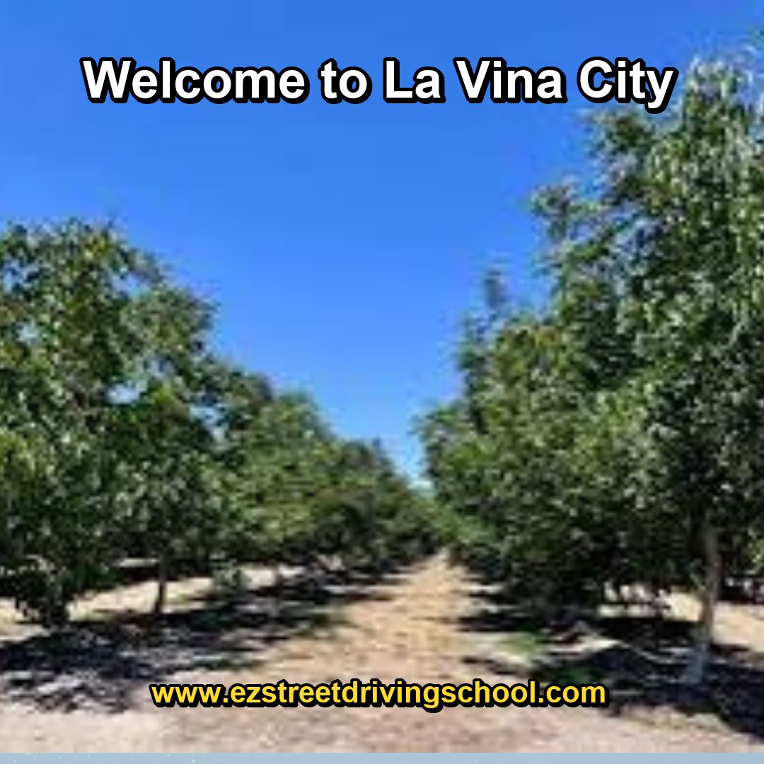 Driving Lessons in La Vina